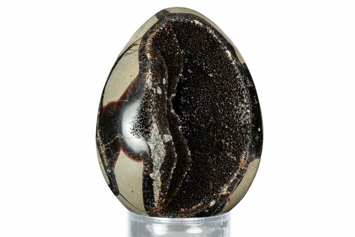 Septarian Dragon Egg Geode - Sparkly Black Crystals #336443